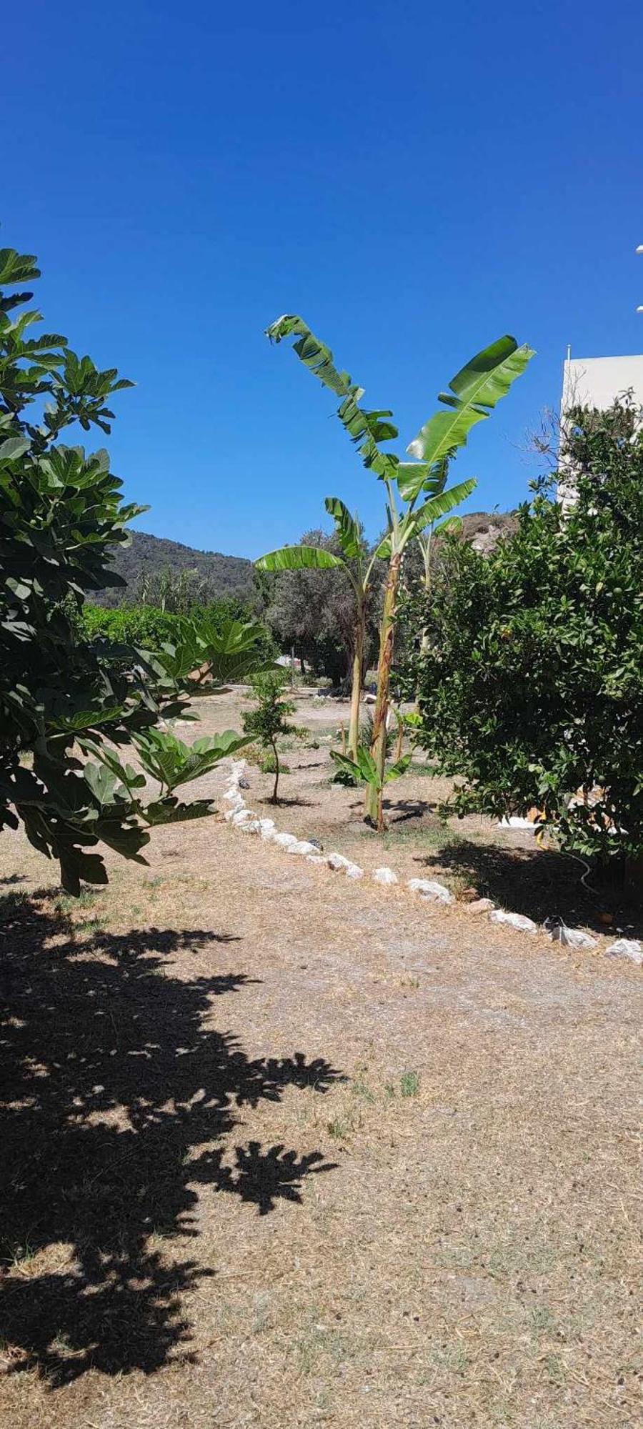 Casa Terra Kremastí